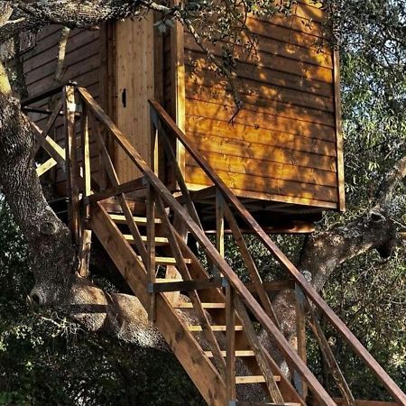 Cabana Del Arbol Lavagarural Villanueva del Rosario Eksteriør bilde