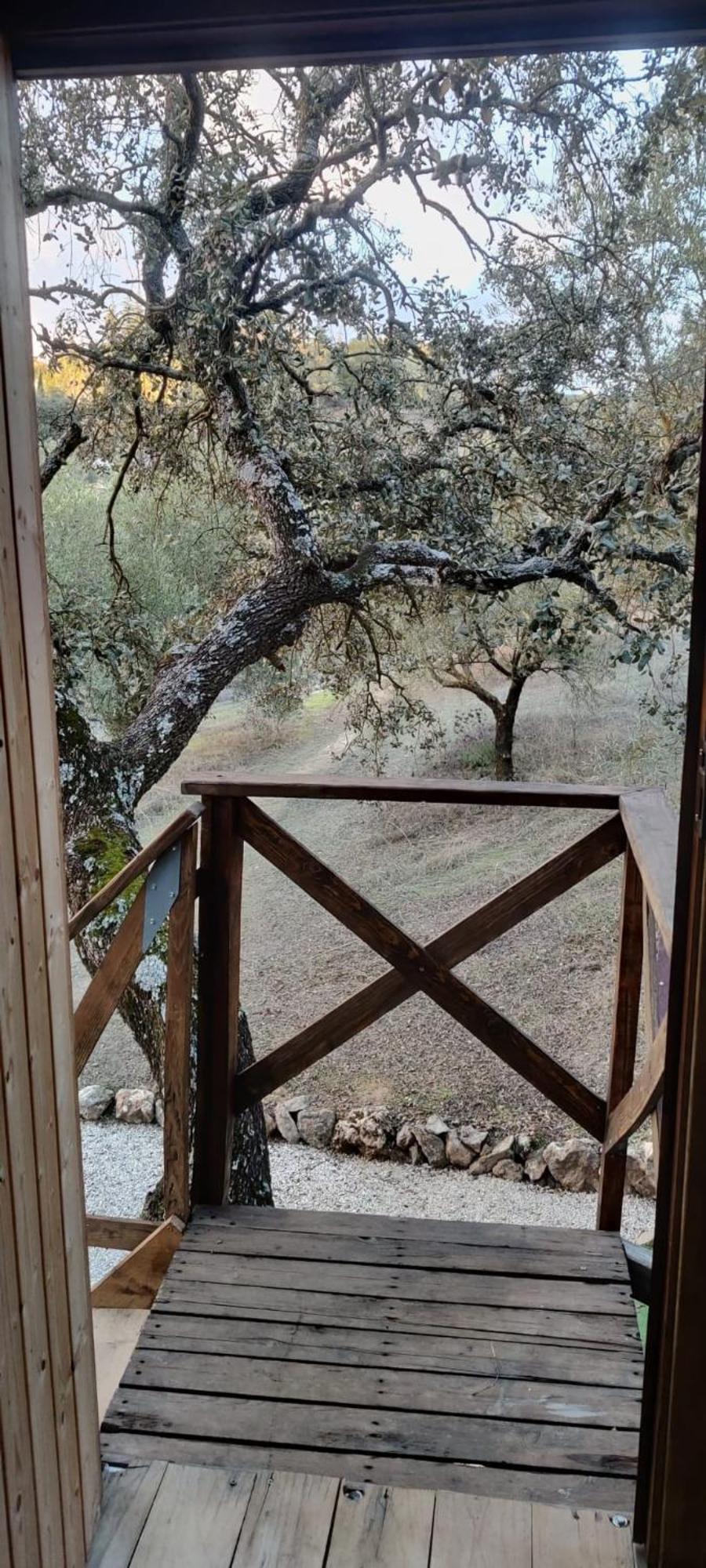 Cabana Del Arbol Lavagarural Villanueva del Rosario Eksteriør bilde